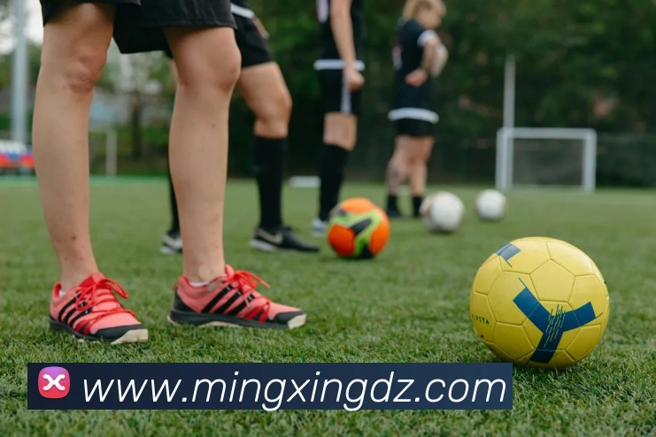 亚博体育平台生态图